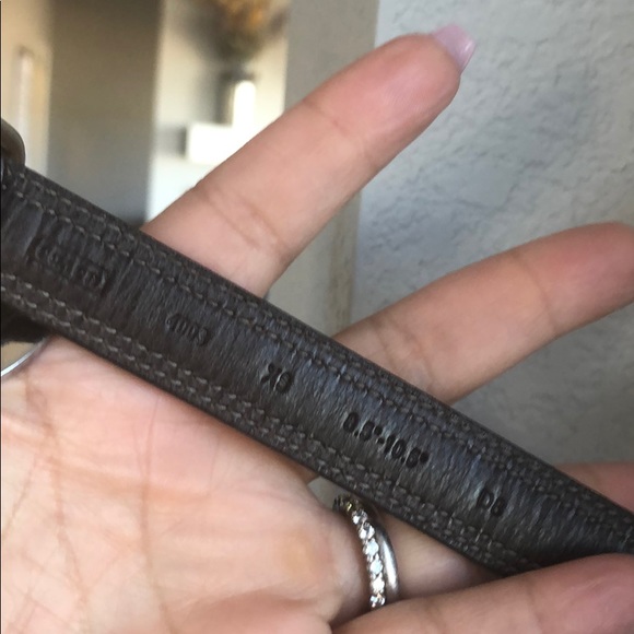 Coach dog collar and leash. - Picture 4 of 5